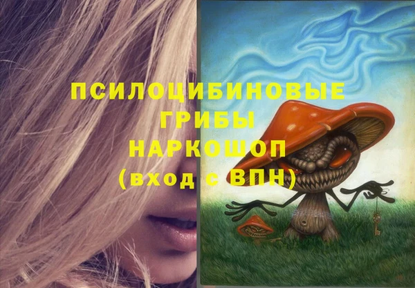 прущие грибы Кинешма