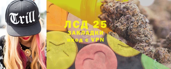 прущие грибы Кинешма