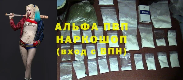 прущие грибы Кинешма