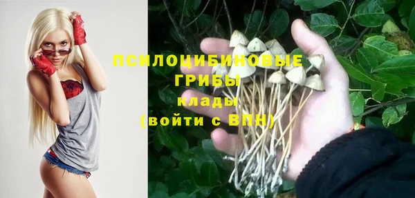 spice Киреевск