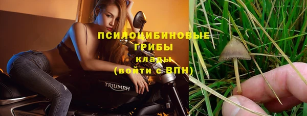 spice Киреевск