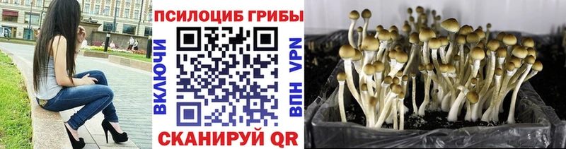 Галлюциногенные грибы MAGIC MUSHROOMS  Козловка 